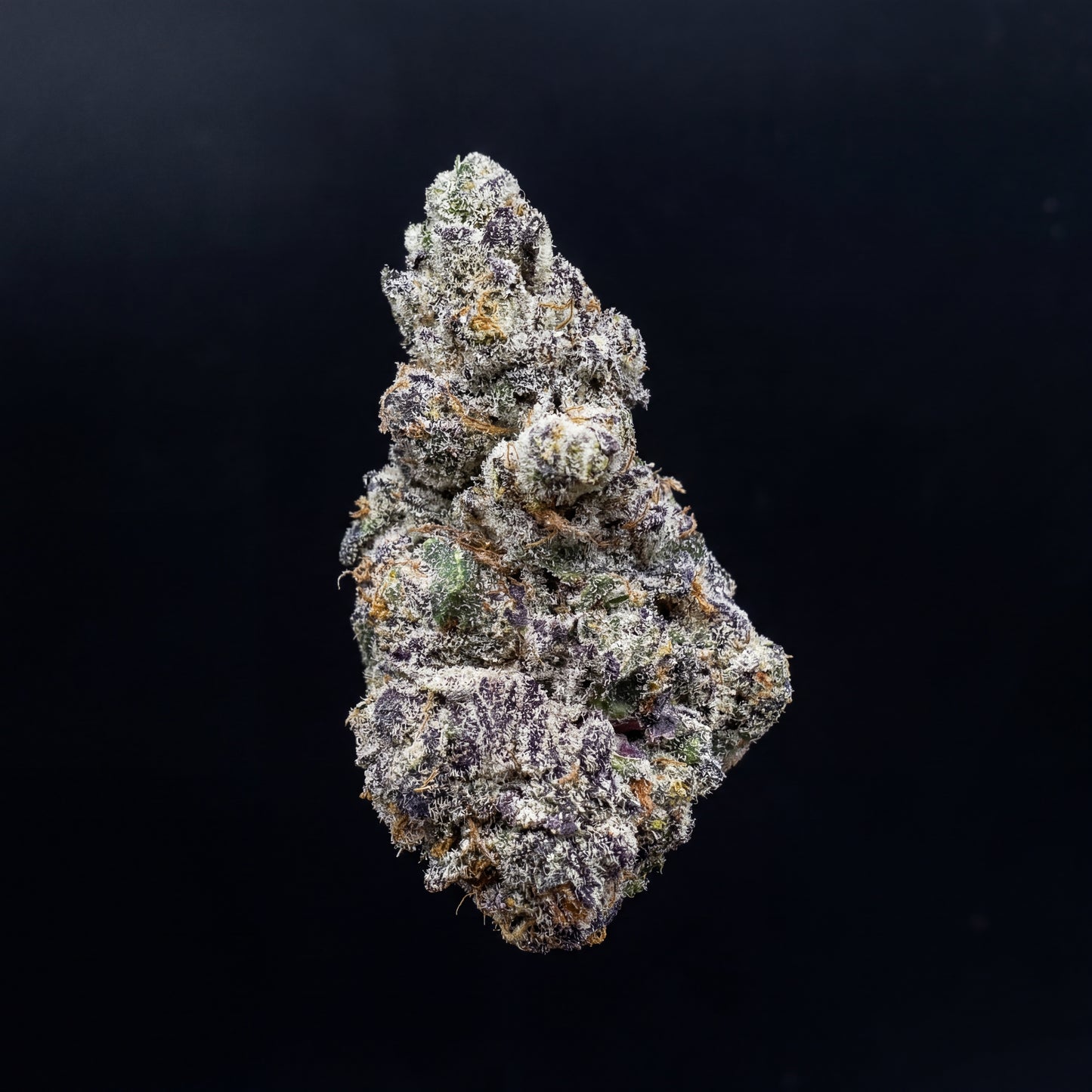Apple Gas