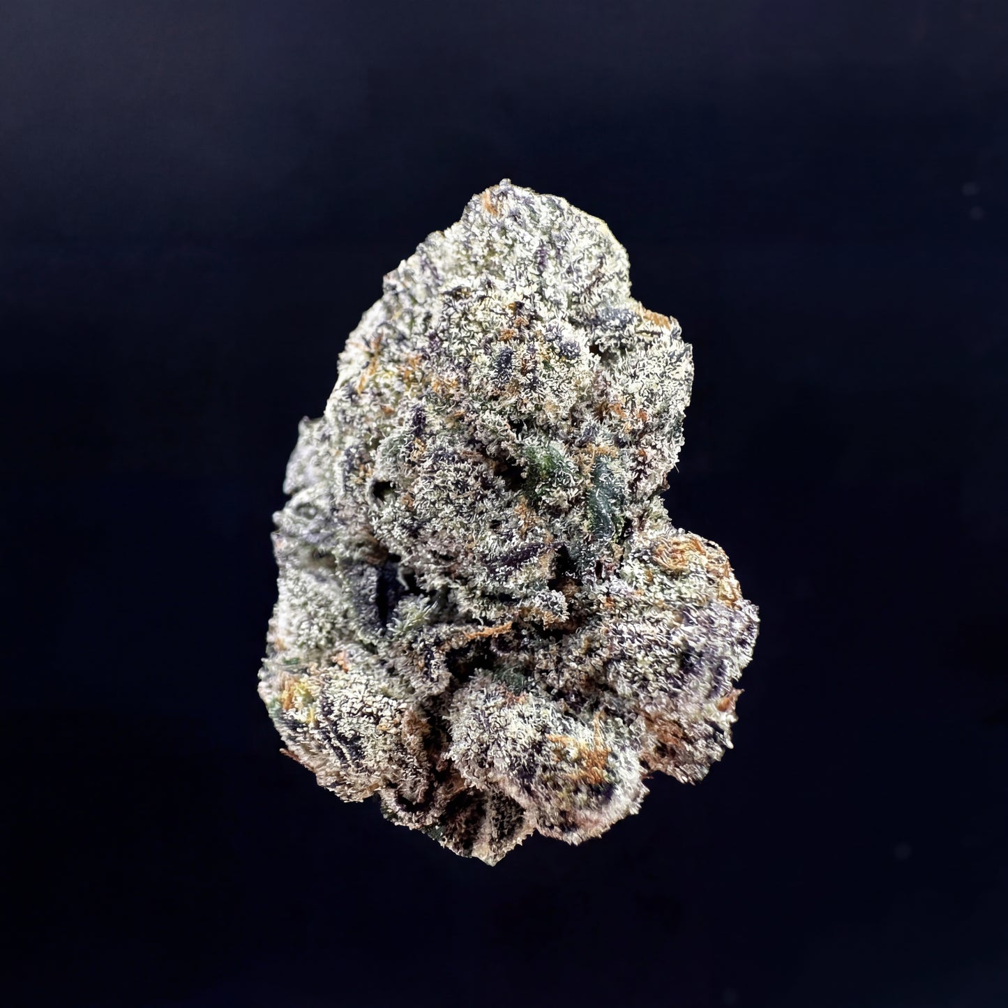 Warhead