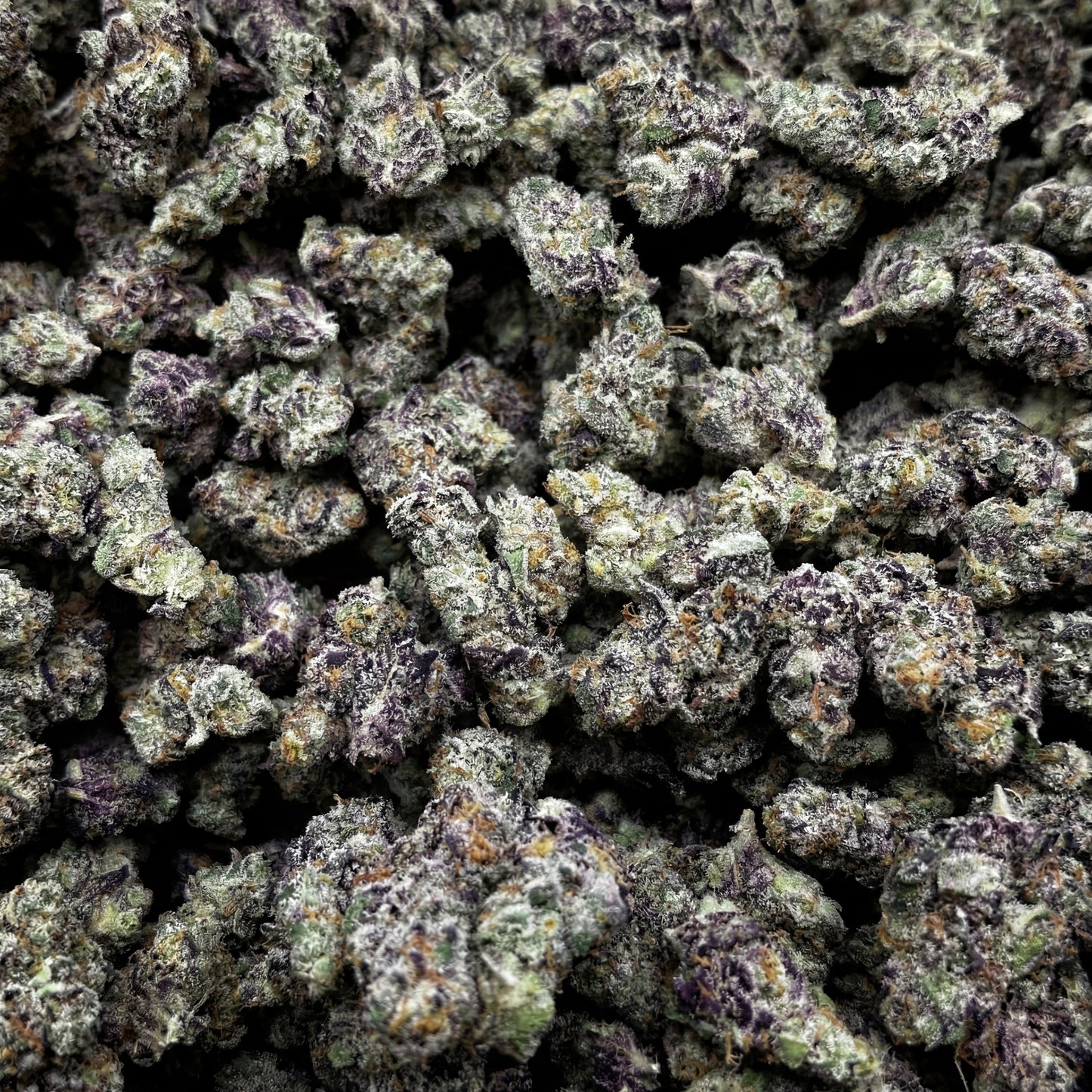 Warhead Type B