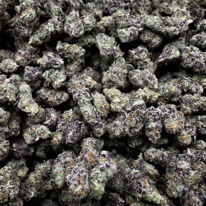 Warhead Type B