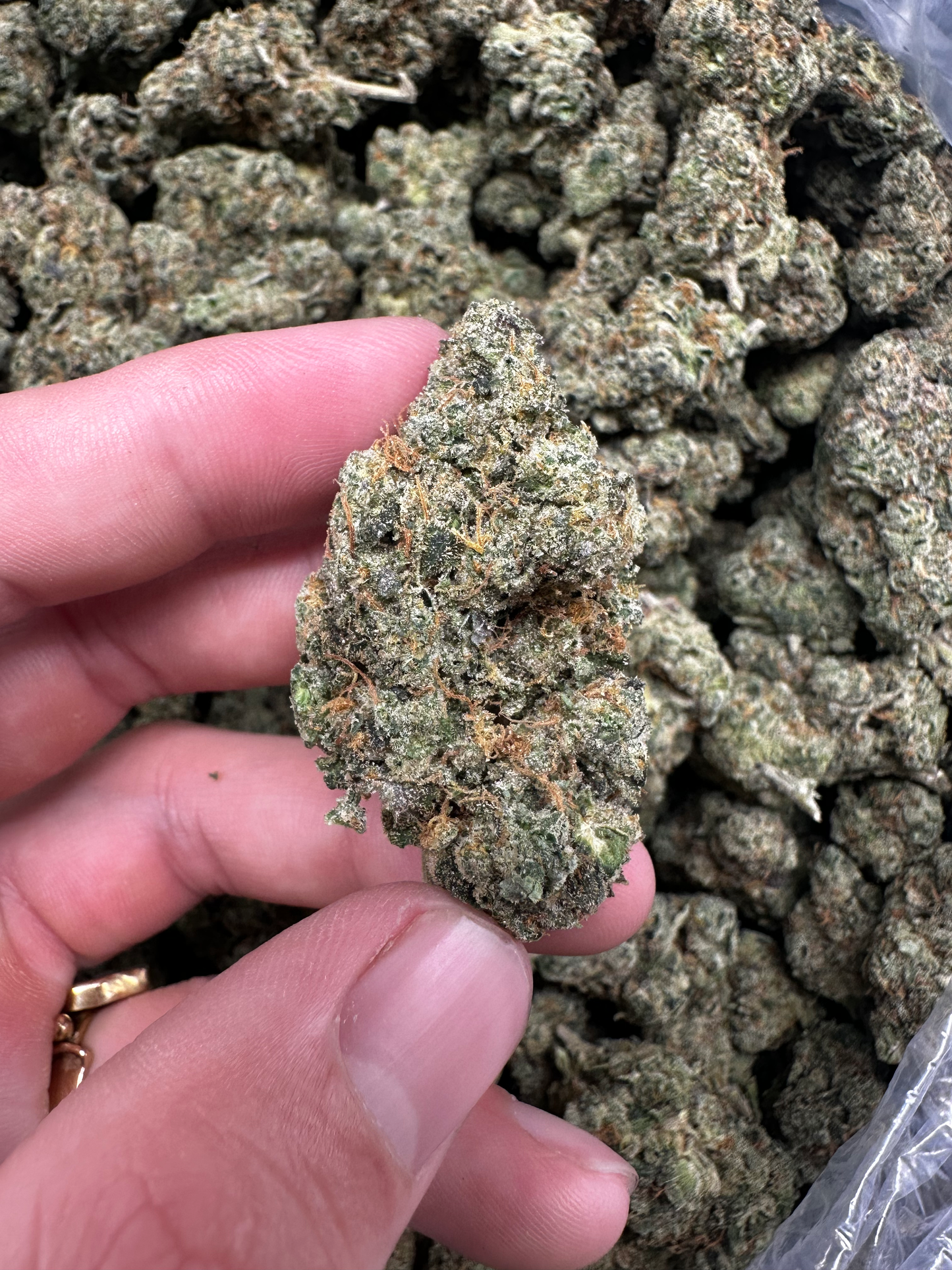 09 Sour D