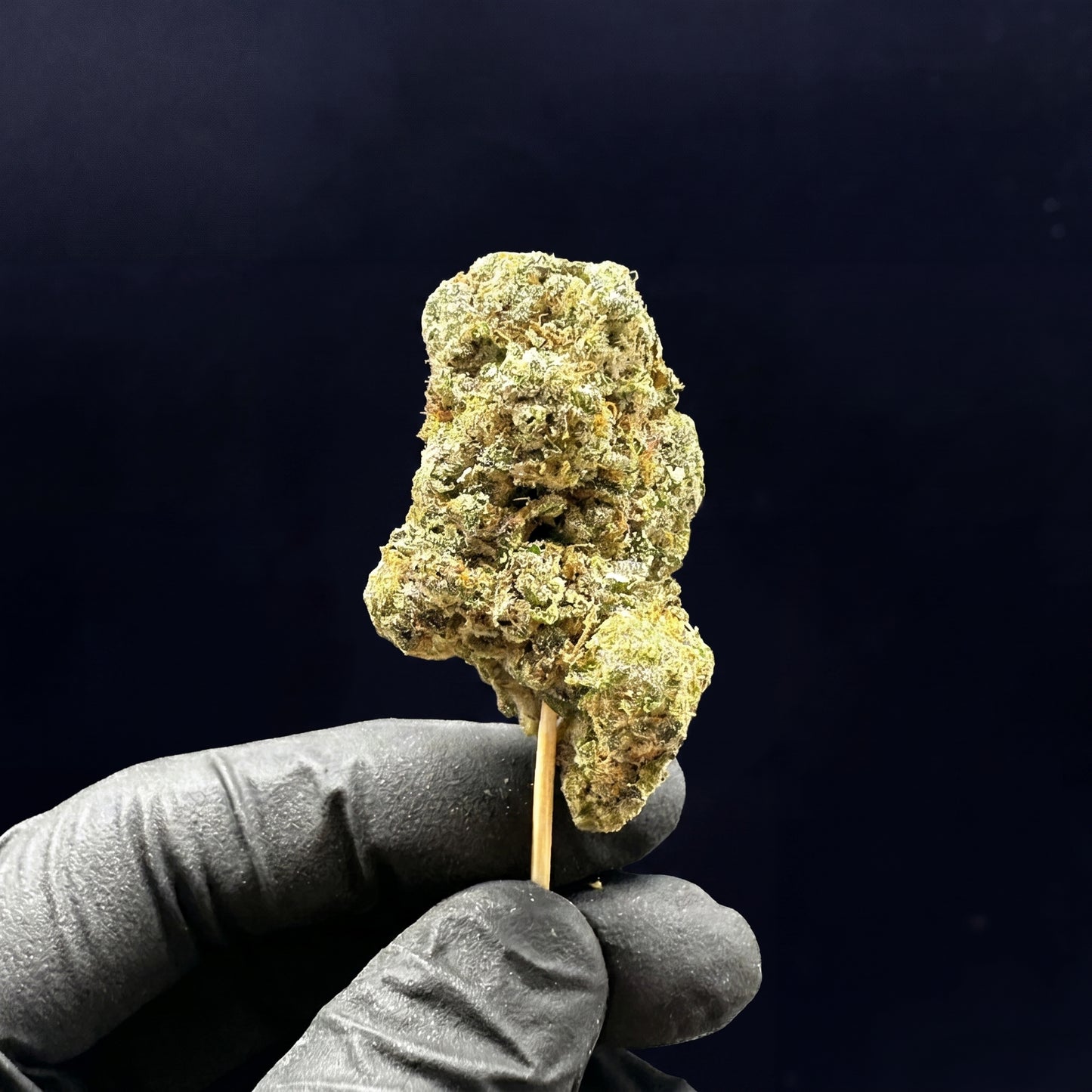 09 Sour D