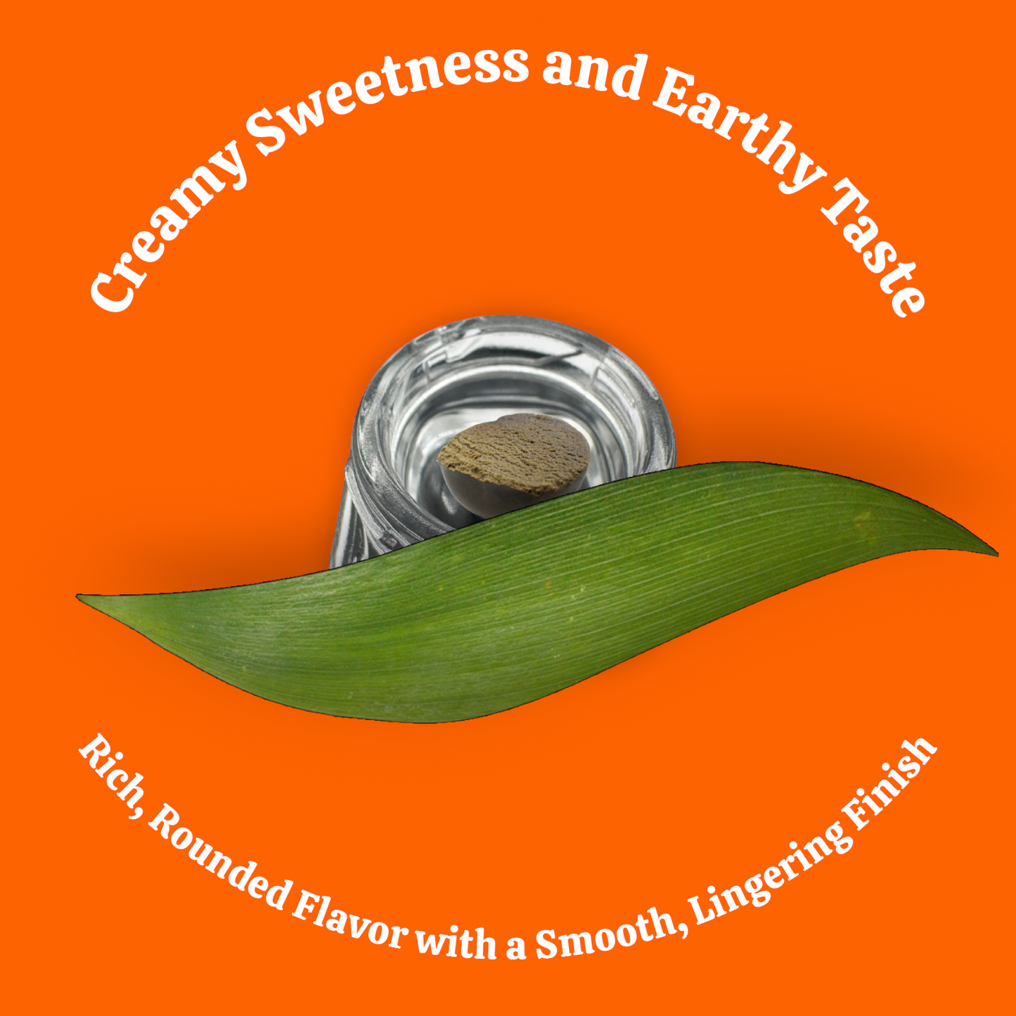 Temple-Ball Hash Gelato #41