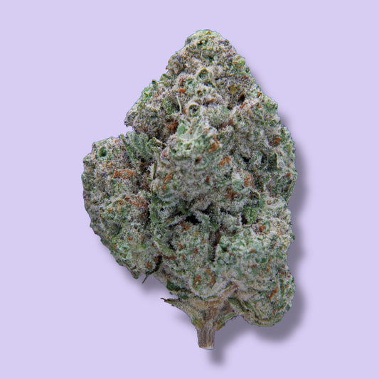 Purple Punch Flower