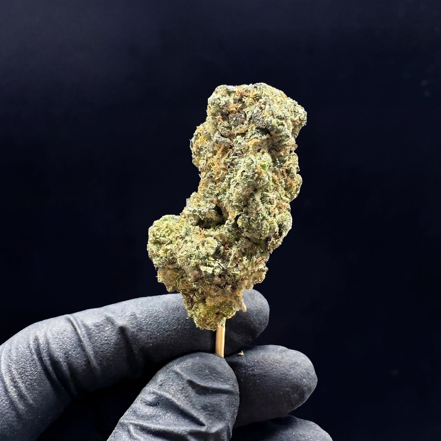 09 Sour D
